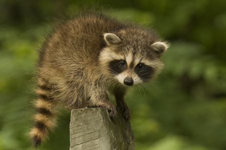 5878046973_198ee5e720_b